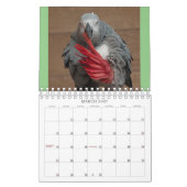 Calendrier de Everybirdie 2024 (Mar 2027)