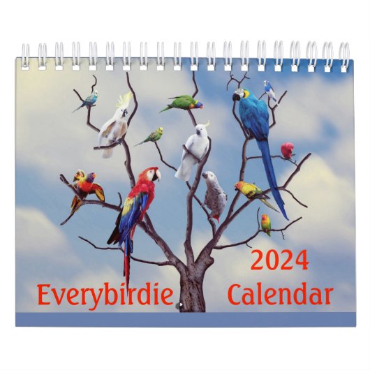 Calendrier de Everybirdie 2024 (Protection)