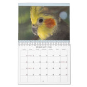 Calendrier de Everybirdie 2024 (Feb 2026)