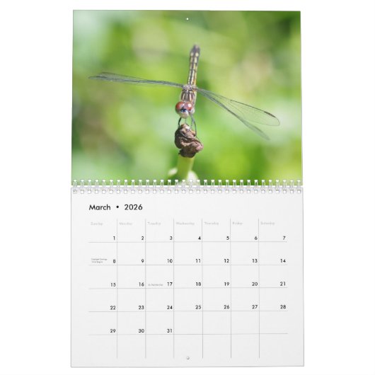 Calendrier de fascination d'insecte (Mar 2026)