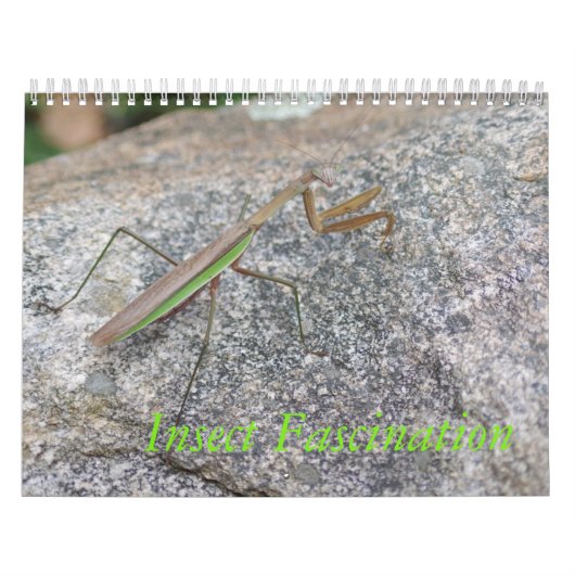 Calendrier de fascination d'insecte (Protection)
