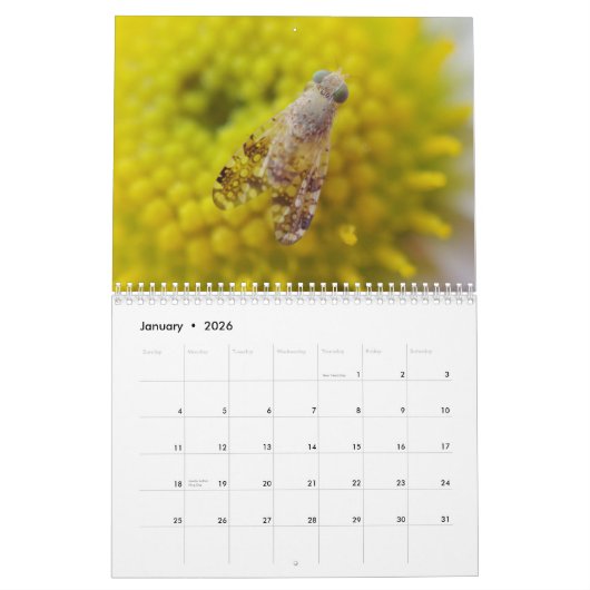 Calendrier de fascination d'insecte (Jan 2026)