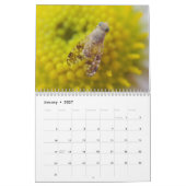 Calendrier de fascination d'insecte (Jan 2027)