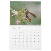 Calendrier de fascination d'insecte (Feb 2027)