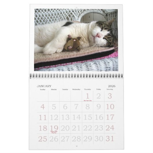 Calendrier de Fatboy Babushka 2017 (Jan 2026)