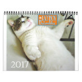 Calendrier de Fatboy Babushka 2017 (Protection)