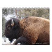 Calendrier de faune (Protection)