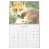Calendrier de faune de 2009 Nord-américains (Mar 2027)