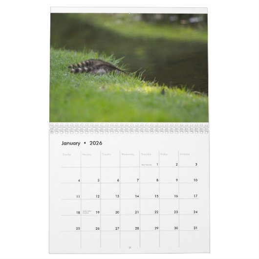 Calendrier de faune de règle d'exonération (Jan 2026)