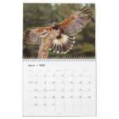 Calendrier de faune d'Eagles, de hiboux et de (Mar 2026)