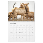 Calendrier de faune et de paysages (Mar 2027)