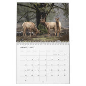 Calendrier de faune et de paysages (Jan 2027)
