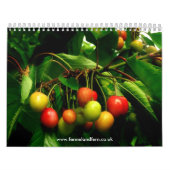 Calendrier de fenouil et de fougère 2010 (Protection)