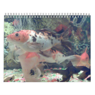 Calendrier de Fish Koi