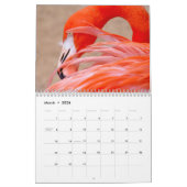 Calendrier de Flamant rose (Mar 2026)