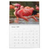 Calendrier de Flamant rose (Jan 2027)
