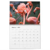 Calendrier de Flamant rose (Feb 2027)