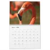 Calendrier de Flamant rose (Mar 2026)