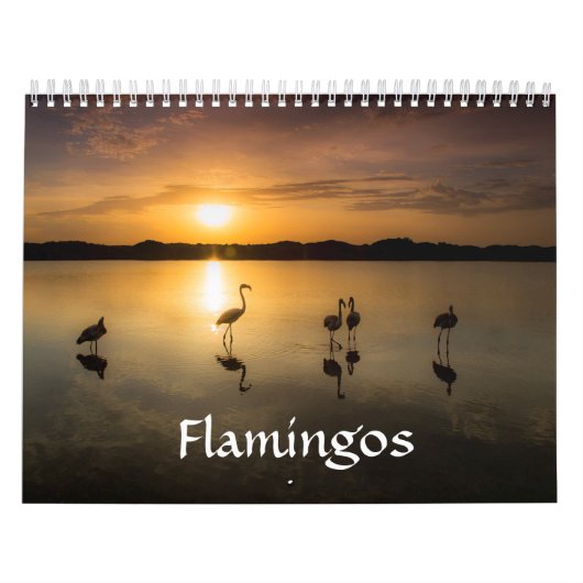 Calendrier de Flamant rose (Protection)