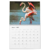 Calendrier de Flamant rose (Mar 2027)