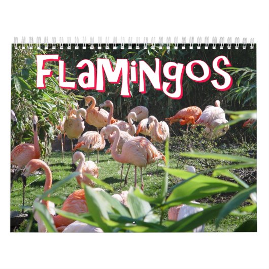Calendrier de Flamants roses (Protection)