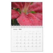 calendrier de fleur de 18 mois (Jan 2026)