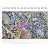 calendrier de fleur sauvage (Protection)