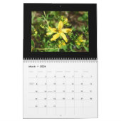 Calendrier de fleur sauvage de l'Idaho (Mar 2026)