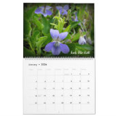 Calendrier de fleur sauvage de prairie (Jan 2026)