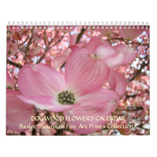 CALENDRIER DE FLEURS D'ARBRES CORNUS Printemps