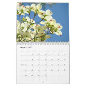 CALENDRIER DE FLEURS D'ARBRES CORNUS Printemps (Mar 2027)