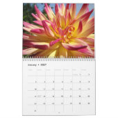 Calendrier de fleurs de dahlia Calendrier de burea (Jan 2027)