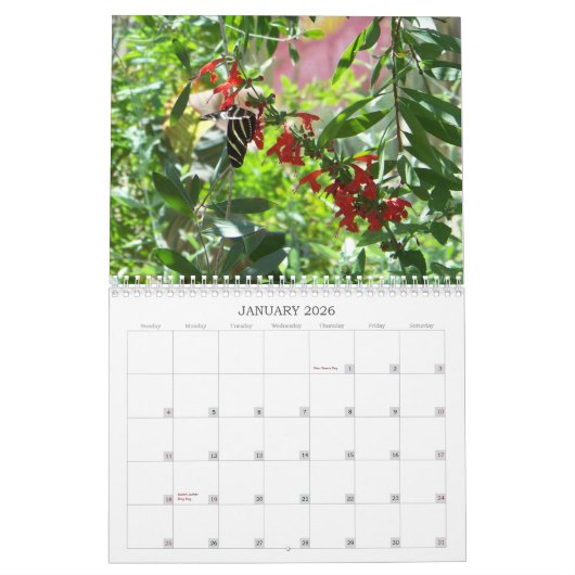 Calendrier de fleurs et de papillons 2011 (Jan 2026)