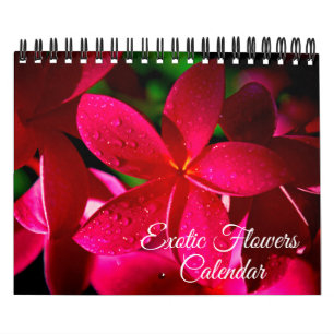 Calendrier de fleurs exotiques de petite taille