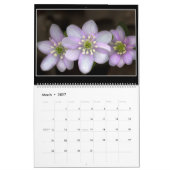 Calendrier de fleurs sauvages par Thomas Minutolo (Mar 2027)