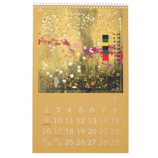 Calendrier de fluage de saison de 2019 MESURES (Mar 2026)