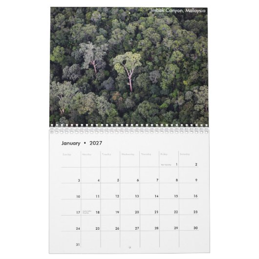 Calendrier de forêt tropicale du Bornéo (Jan 2027)