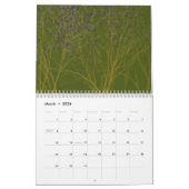 Calendrier de forêts (Mar 2026)