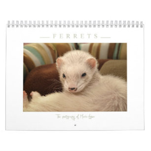 Calendrier de furets - 3 -