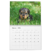 Calendrier de gallois Terrier 2012 par Darwyn (Feb 2026)