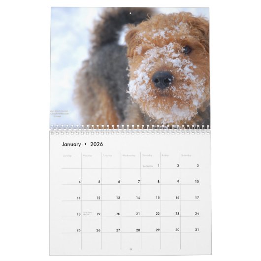 Calendrier de gallois Terrier 2012 par Darwyn (Jan 2026)