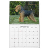 Calendrier de gallois Terrier 2013 par Darwyn (Feb 2027)