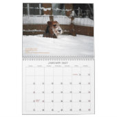 Calendrier de gallois Terrier 2013 par Darwyn (Jan 2027)