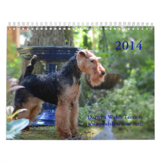 Calendrier de gallois Terrier 2014 par Darwyn
