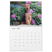 Calendrier de gallois Terrier 2014 par Darwyn (Mar 2026)