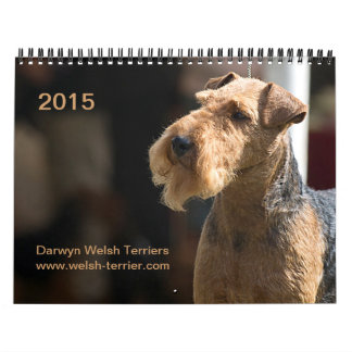 Calendrier de gallois Terrier 2015 par Darwyn