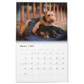Calendrier de gallois Terrier 2017 par Darwyn (Feb 2027)