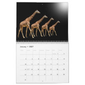 CALENDRIER DE GIRAFE (Jan 2027)