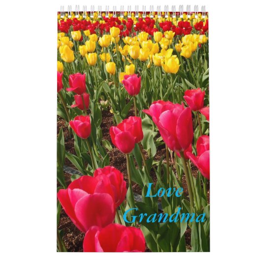 Calendrier de grand-maman d'amour (Protection)