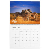 Calendrier de grande taille d'animaux exotiques (Feb 2027)